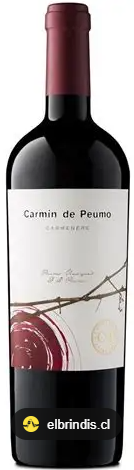 Carmin de Peumo - Concha y Toro 2010