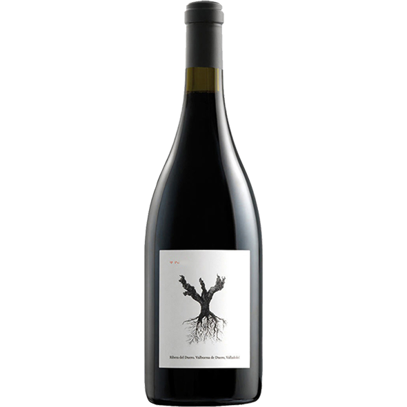 PSI 2021 - Ribera del Duero