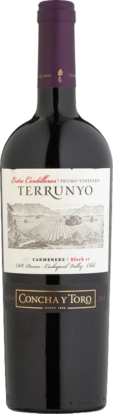 Terrunyo Carmenere Block 27