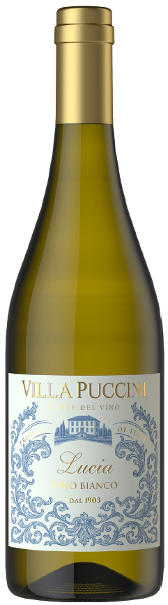 Villa Puccini - Lucia - Vino Bianco